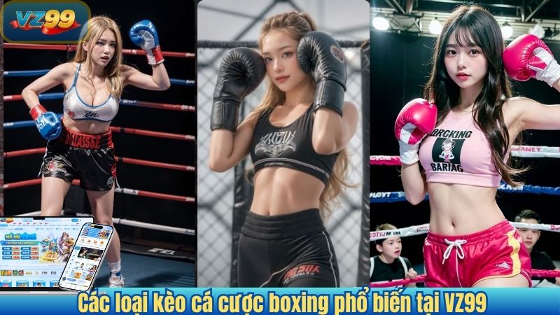 Cá cược Boxing 2025 – Hướng dẫn chi tiết cho người chơi mới 2 Các loại kèo cá cược boxing phổ biến tại VZ99