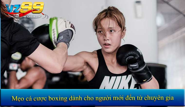 Cá cược Boxing 2025 – Hướng dẫn chi tiết cho người chơi mới 5 Mẹo cá cược boxing dành cho người mới đến từ chuyên gia