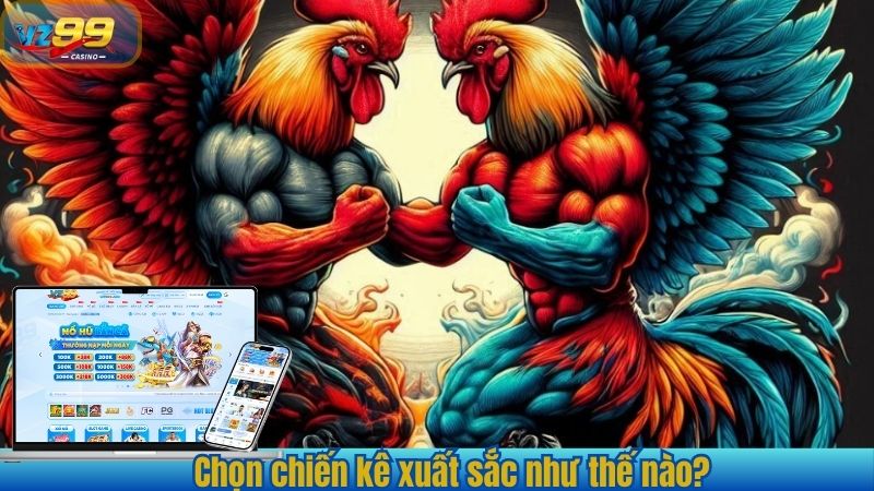 Bí Quyết Đá Gà Hiệu Quả - Chinh Phục Mọi Đấu Trường Tại VZ99 2 Chọn chiến kê xuất sắc như thế nào?