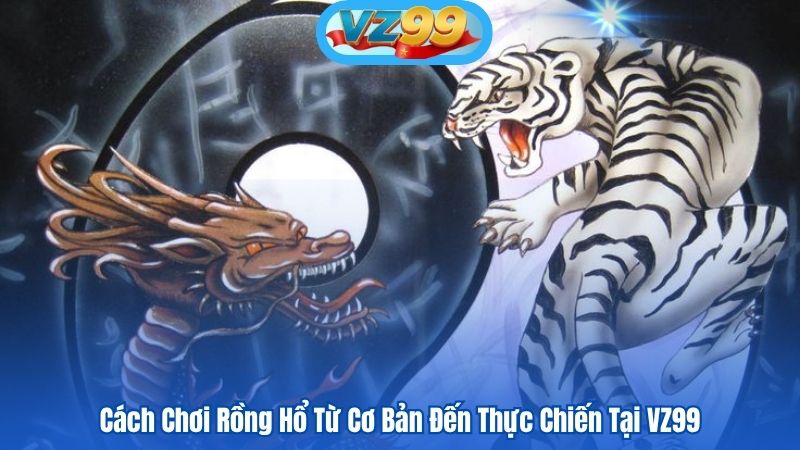 Cách Chơi Rồng Hổ Từ Cơ Bản Đến Thực Chiến Tại VZ99 1 Cách Chơi Rồng Hổ Từ Cơ Bản Đến Thực Chiến Tại VZ99